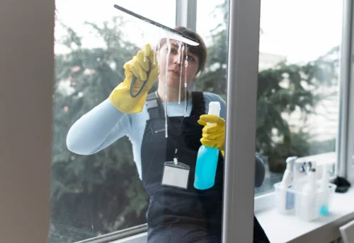 Nettoyage de vitres intérieures et extérieures à Goincourt